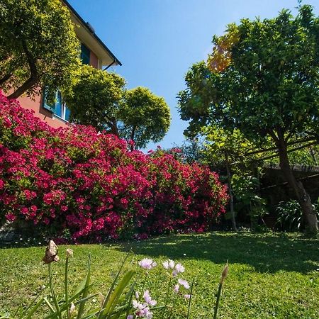 Le Clementine B&B Camogli Exterior photo