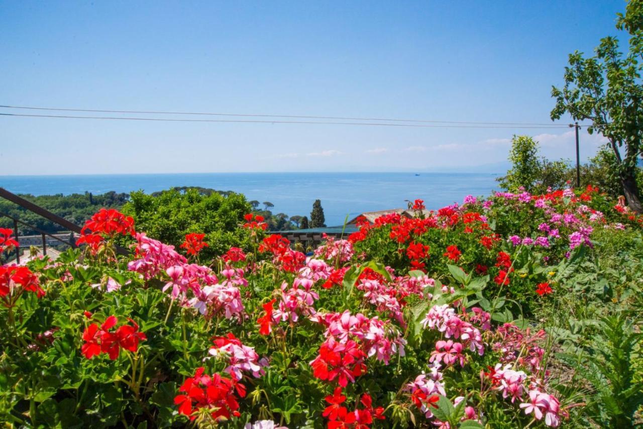 Le Clementine B&B Camogli Exterior photo