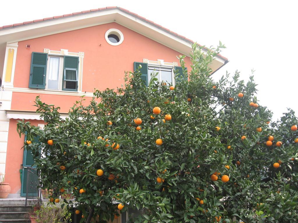 Le Clementine B&B Camogli Exterior photo