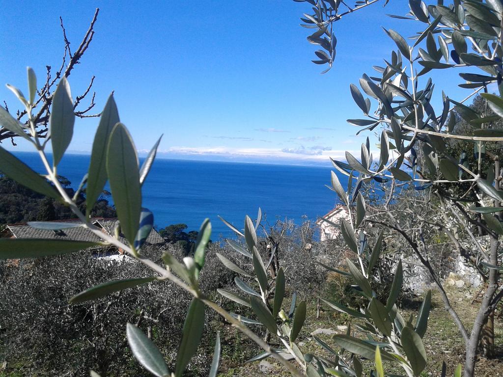 Le Clementine B&B Camogli Exterior photo