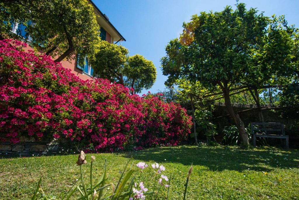 Le Clementine B&B Camogli Exterior photo