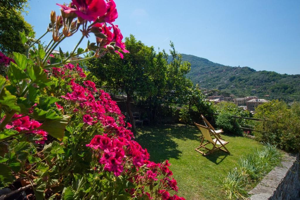 Le Clementine B&B Camogli Exterior photo