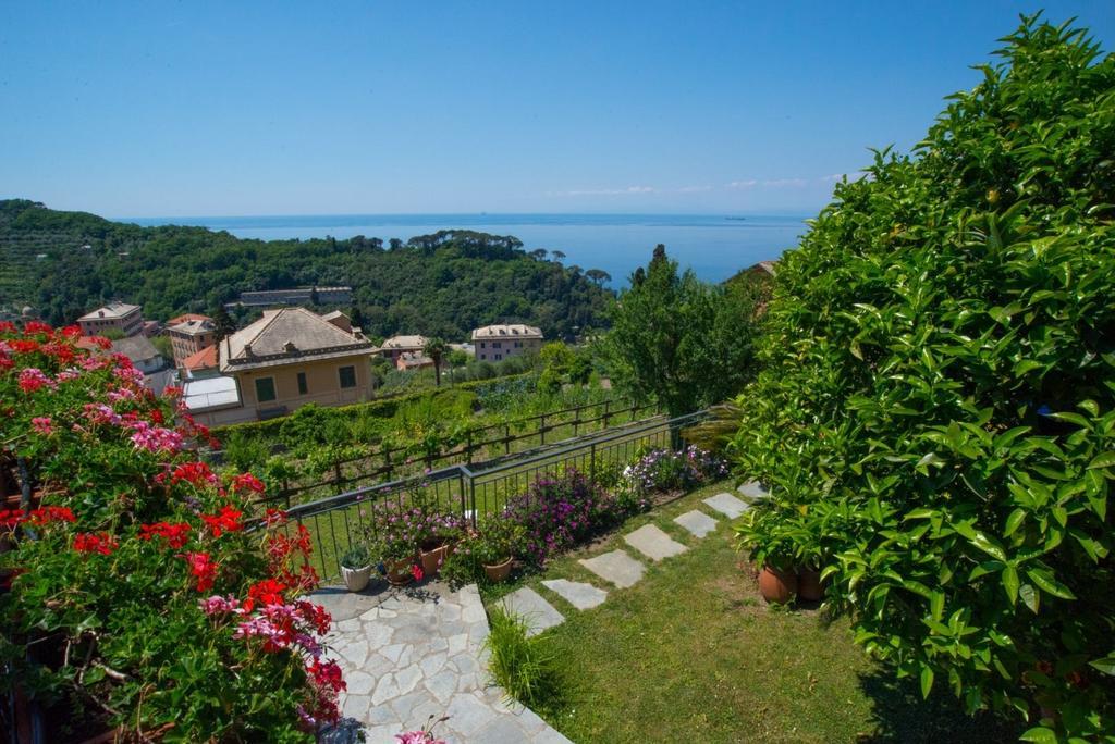 Le Clementine B&B Camogli Exterior photo