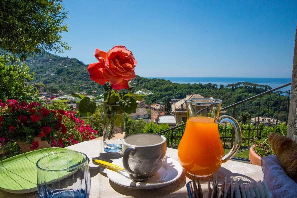 Le Clementine B&B Camogli Exterior photo